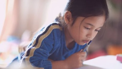 Japonların Çalışma Disiplini
